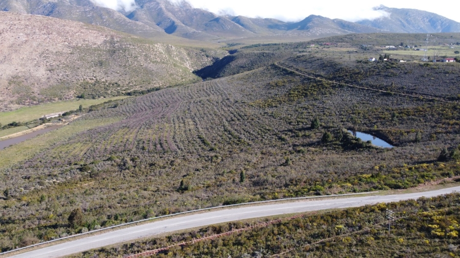 0 Bedroom Property for Sale in Joubertina Eastern Cape